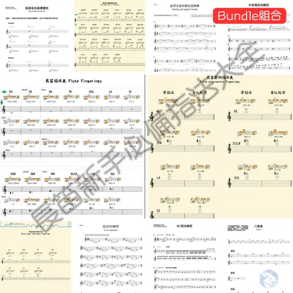 長笛新手必備指法大全