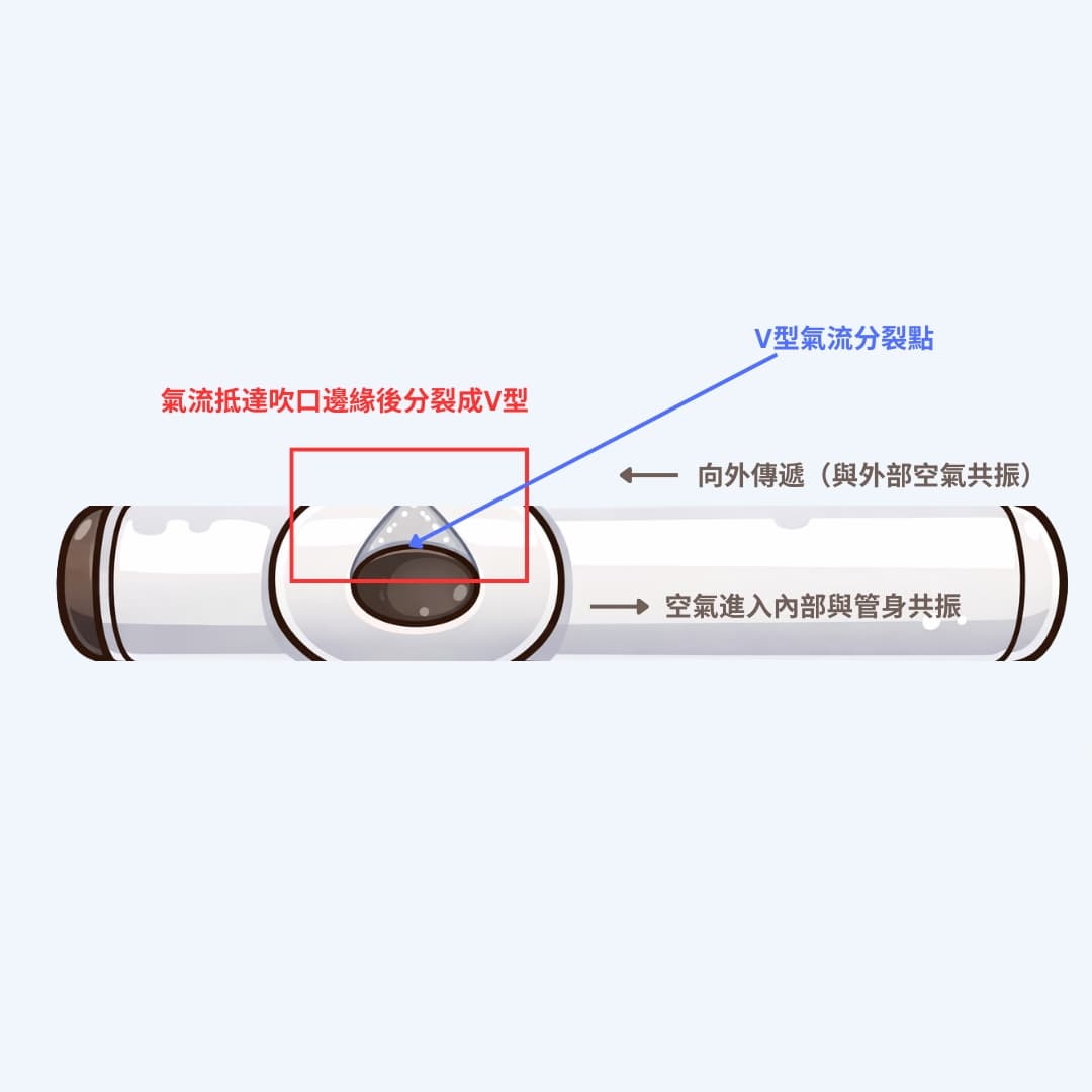 長笛吹口氣流分裂示意圖：氣流抵達吹口邊緣後分裂成V型，一部分向外傳遞與外部空氣共振，一部分進入內部與管身共振